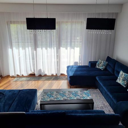 דז'יבנובק Blue Apartament מראה חיצוני תמונה